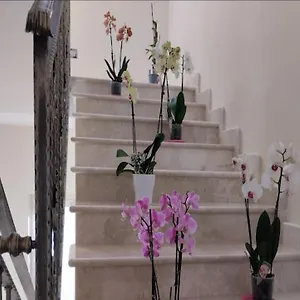 Daphnae House Gasthof